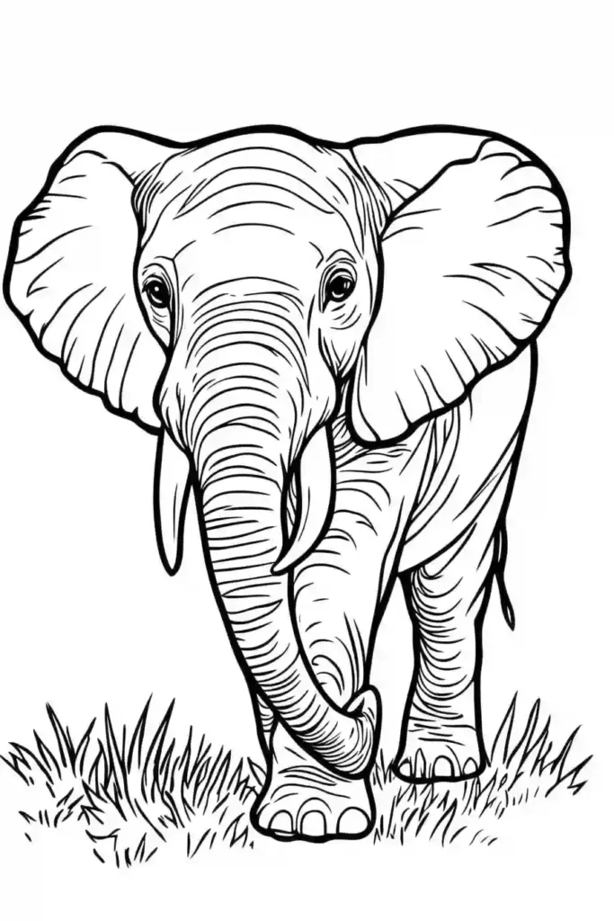 Elephant-Coloring-Pages