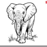 Elephant-Coloring-Pages