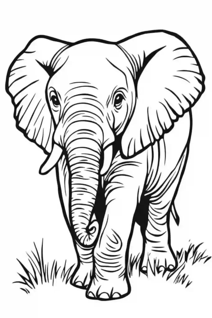 Elephant-Coloring-Pages