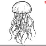 Jellyfish-Coloring-Page