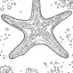 Starfish-Coloring-Pages