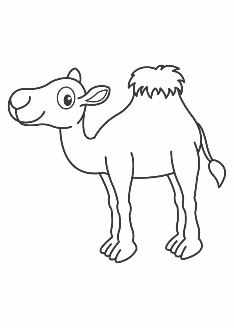 How To Draw A Camel Step By Step | Easy Drawing | Storiespub