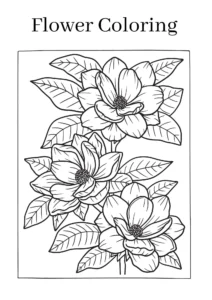 Flowers coloring pages