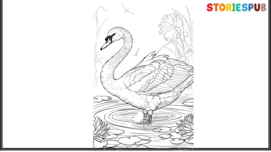 swan-coloring-pages