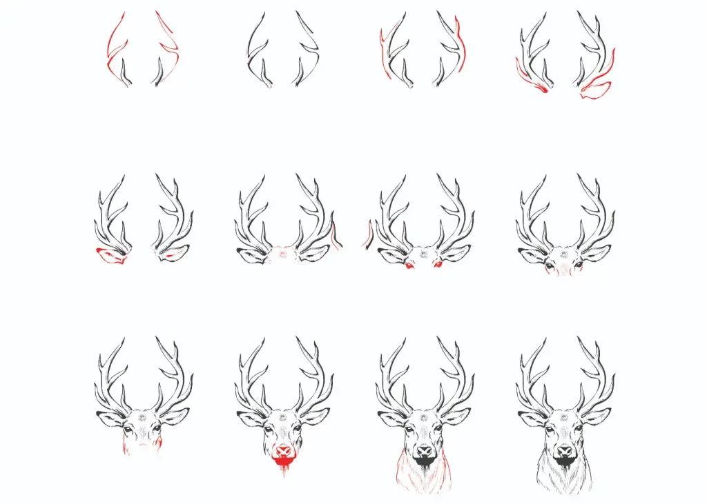 How-to-Draw-Deer 