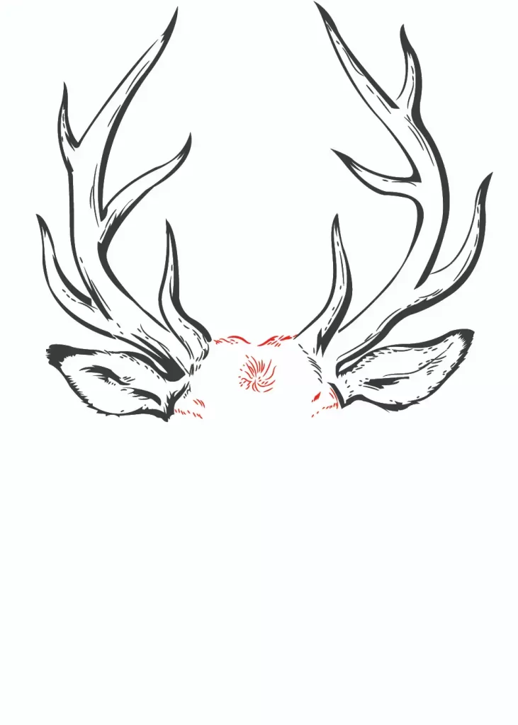 How-to-Draw-Deer 