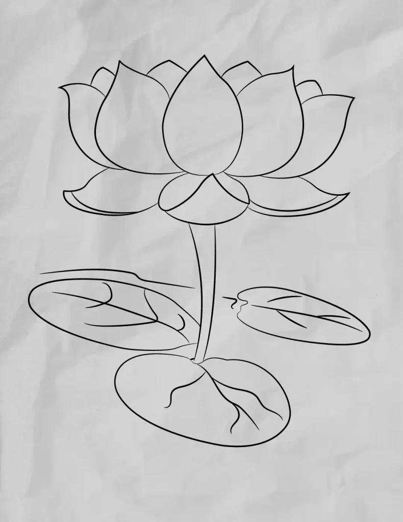 How-To-Draw-A-Lotus-Flower
