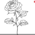 Rose-Coloring-Pages