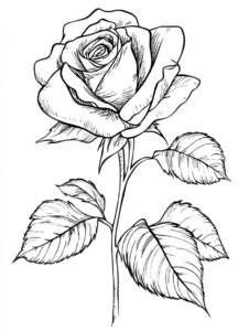 Rose-Coloring-Pages 